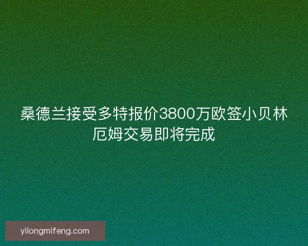 桑德兰接受多特报价3800万欧签小贝林厄姆交易即将完成